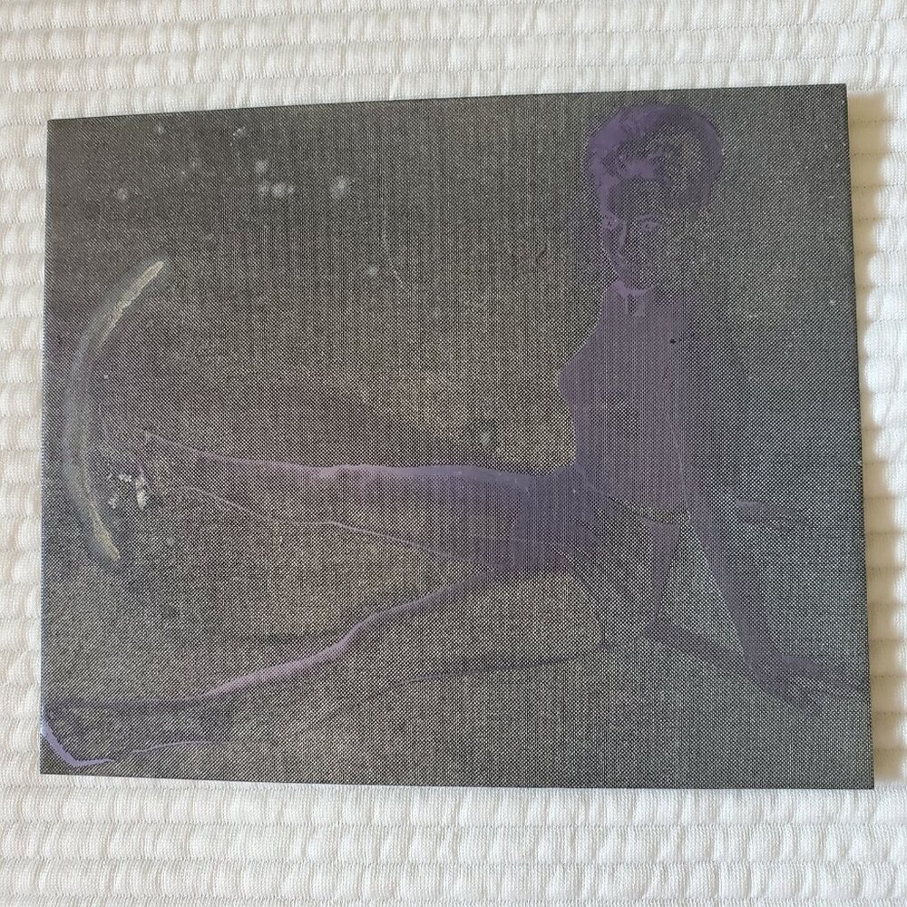 Metal Printing Plate Photo 5.5x4.5 Vintage Women Model Shorts Negative 60's 70s - Picture 3 of 4